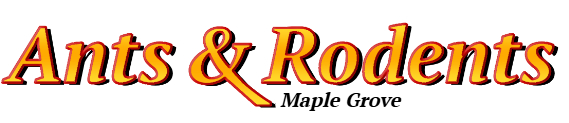 Maple Grove Ant Exterminator & Rodent Control Company Logo